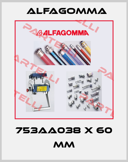 753AA038 X 60 mm Alfagomma