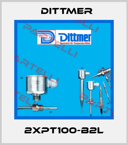2xPT100-B2L Dittmer