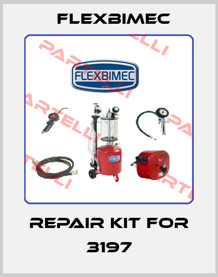 Repair kit for 3197 Flexbimec