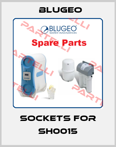 sockets for SH0015 Blugeo