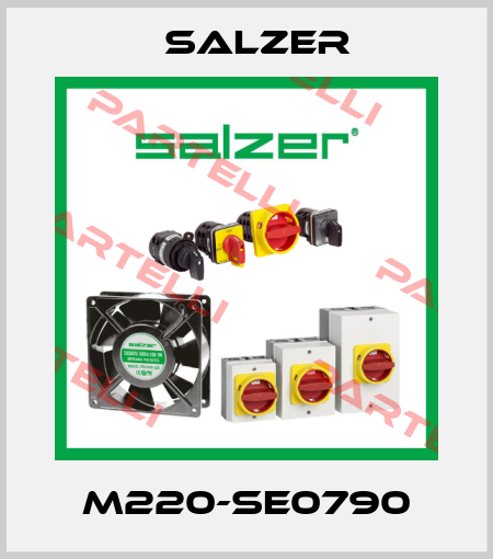 M220-SE0790 Salzer