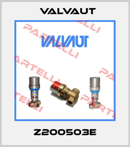 Z200503E Valvaut