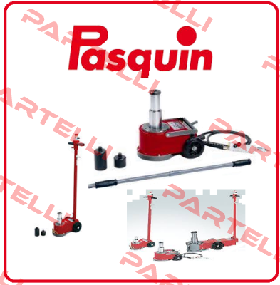 543 Pasquin