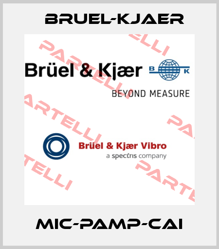 MIC-PAMP-CAI Bruel-Kjaer