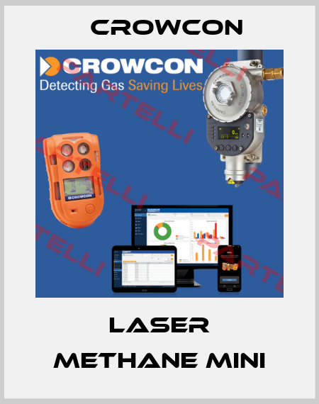 Laser methane mini Crowcon