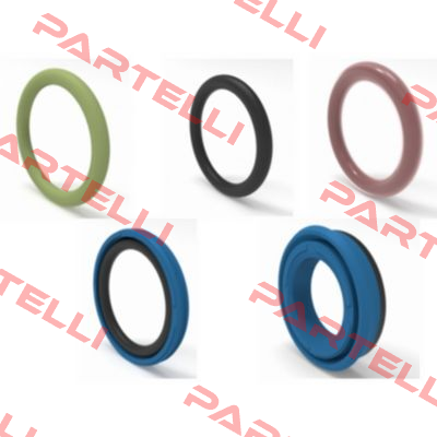 TF42-62-8V　Oil seal Angst-Pfister