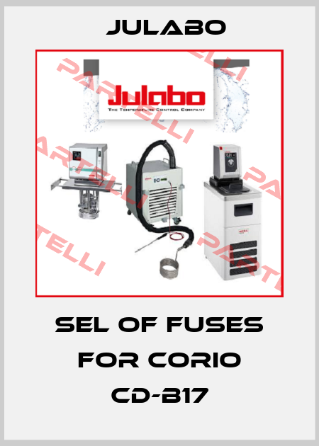 Sel of fuses for CORIO CD-B17 Julabo