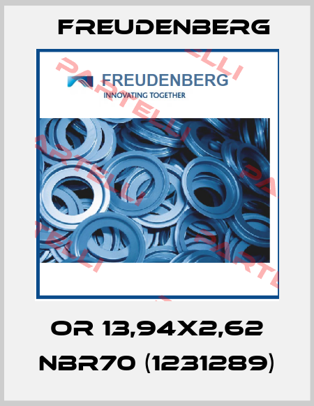 OR 13,94x2,62 NBR70 (1231289) Freudenberg