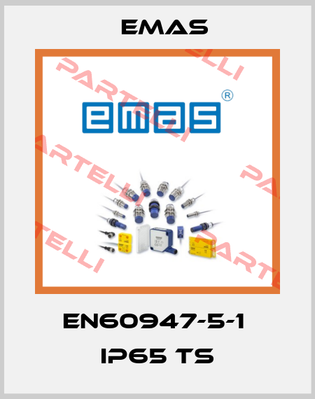 EN60947-5-1  IP65 TS Emas
