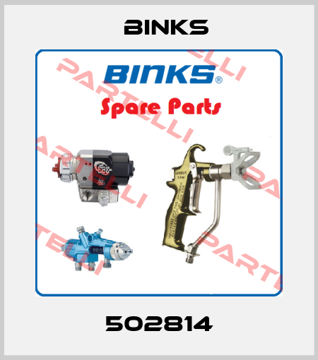 502814 Binks