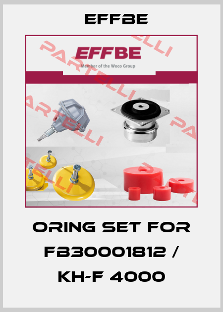 Oring set for FB30001812 / KH-F 4000 Effbe
