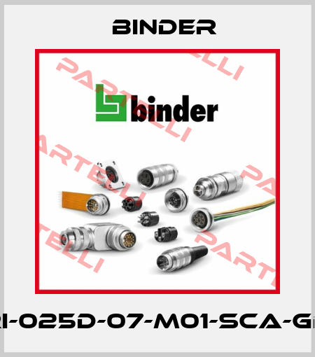 LPRI-025D-07-M01-SCA-GD-A1 Binder