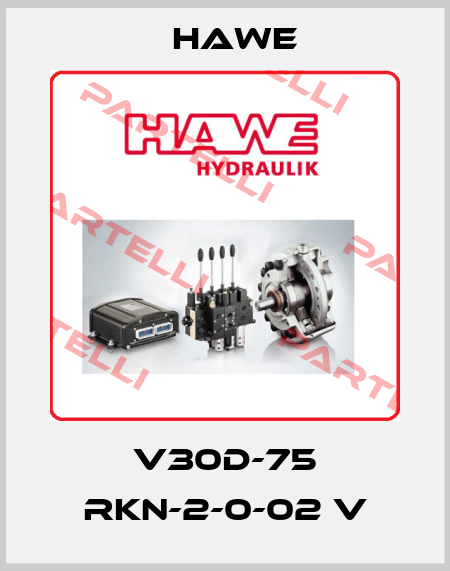V30D-75 RKN-2-0-02 V Hawe