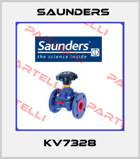KV7328 Saunders