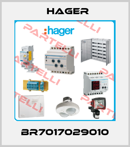 BR7017029010 Hager