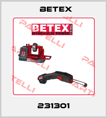 231301 BETEX