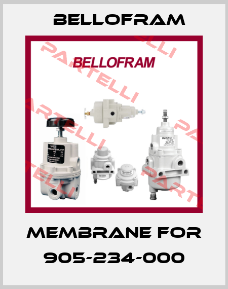 Membrane for 905-234-000 Bellofram