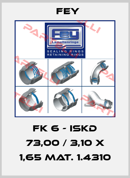 FK 6 - ISKD 73,00 / 3,10 x 1,65 Mat. 1.4310 Fey