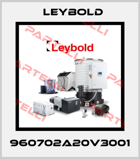 960702A20V3001 Leybold