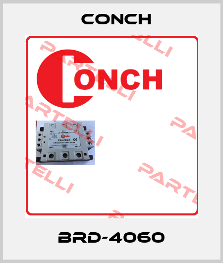 BRD-4060 Conch