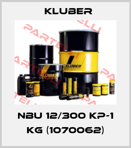 NBU 12/300 KP-1 kg (1070062) Kluber
