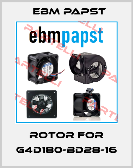 rotor for G4D180-BD28-16 EBM Papst