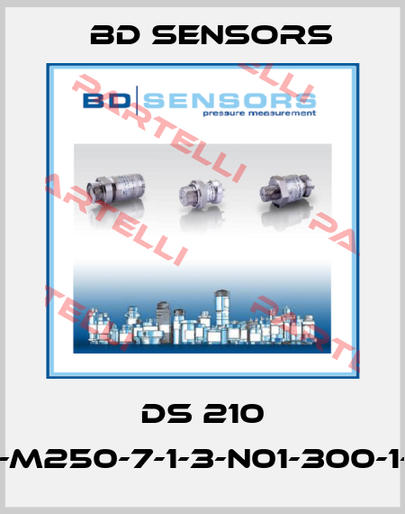 DS 210 78A-M250-7-1-3-N01-300-1-000 Bd Sensors