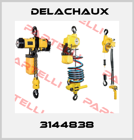 3144838 Delachaux