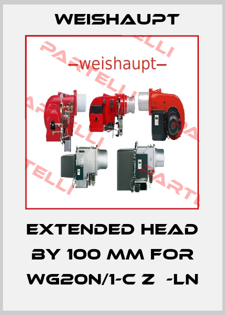 Extended head by 100 mm for WG20N/1-C ZМ-LN Weishaupt
