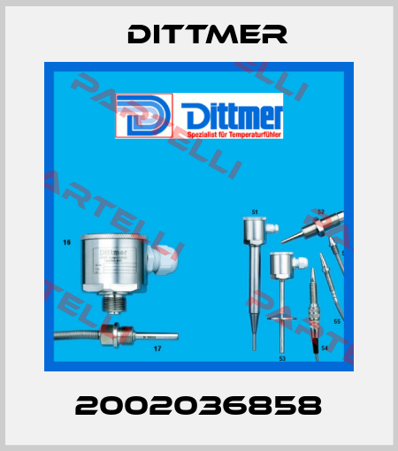 2002036858 Dittmer