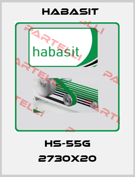 HS-55G 2730x20 Habasit