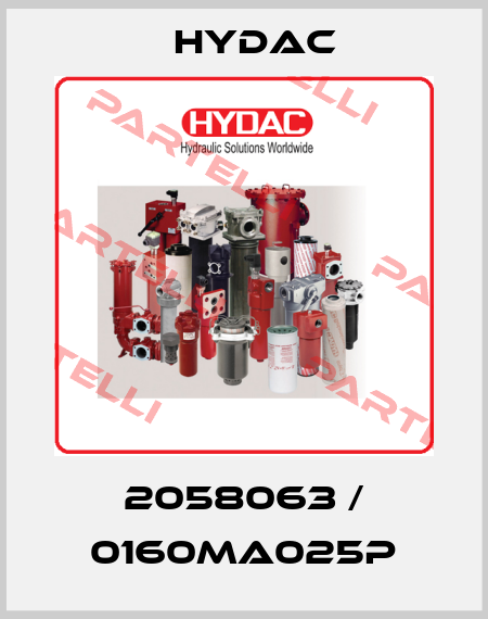 2058063 / 0160MA025P Hydac