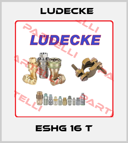 ESHG 16 T Ludecke