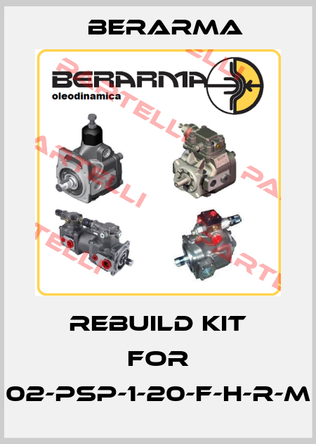 rebuild kit for 02-PSP-1-20-F-H-R-M Berarma