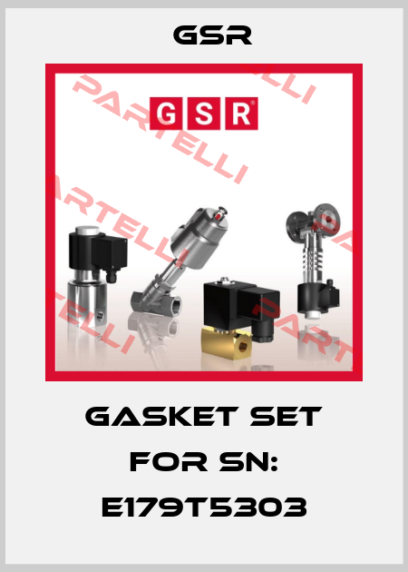 gasket set for SN: E179T5303 GSR