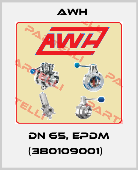 DN 65, EPDM (380109001)　 Awh