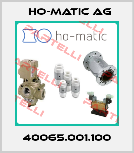 40065.001.100 Ho-Matic AG