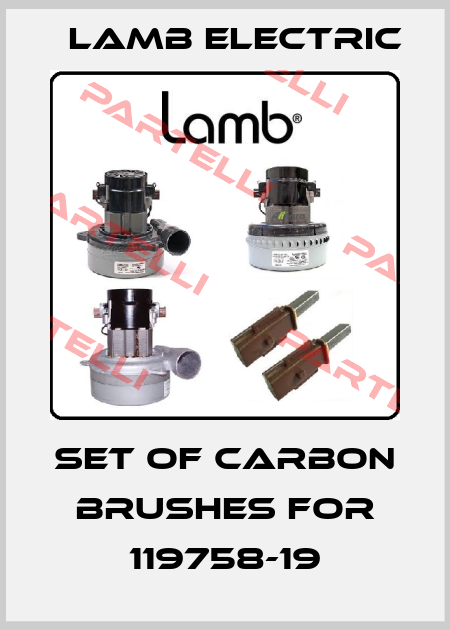 set of carbon brushes for 119758-19 Lamb Electric