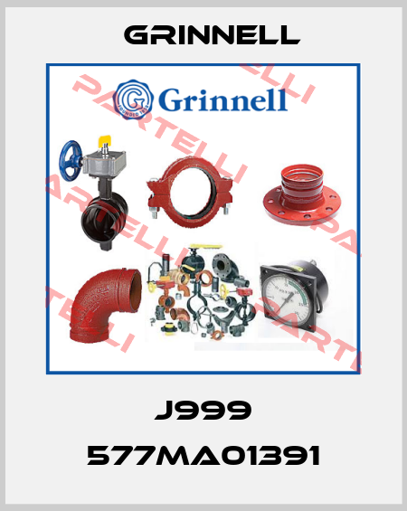 J999 577MA01391 Grinnell