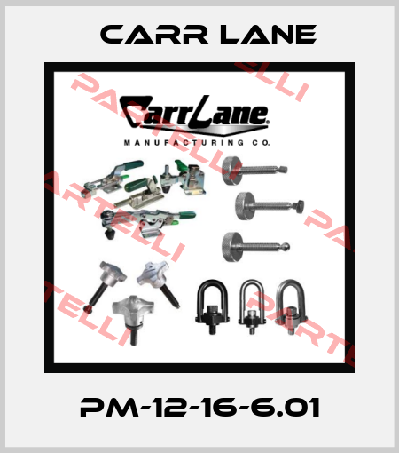 PM-12-16-6.01 Carr Lane