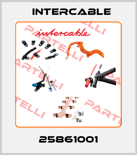 25861001 Intercable