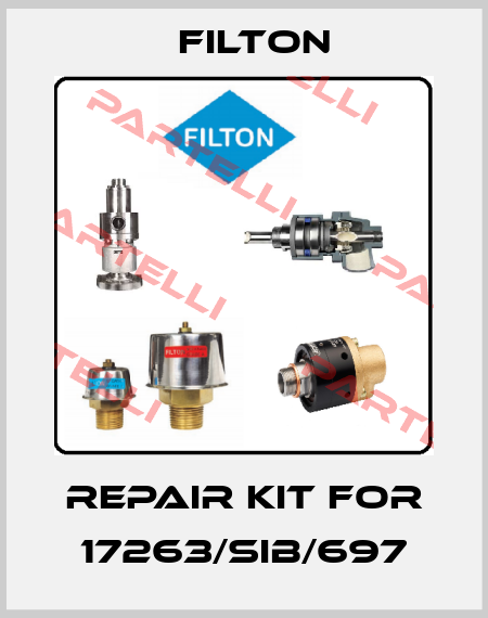 REPAIR KIT FOR 17263/SIB/697 Filton