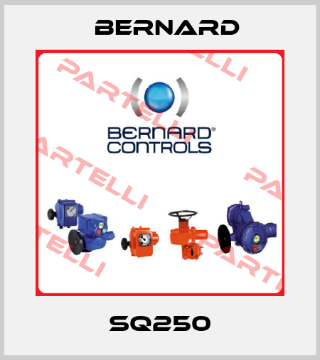 SQ250 Bernard