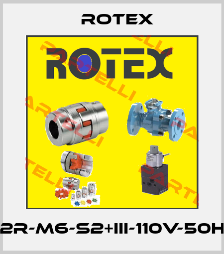 30301-1.6-2R-M6-S2+III-110V-50Hz-37-LD-H Rotex