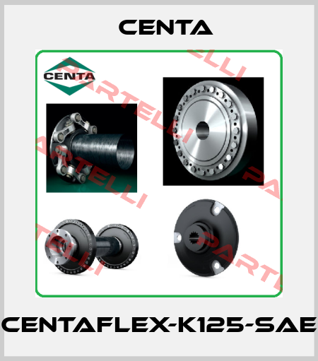 Centaflex-K125-SAE Centa