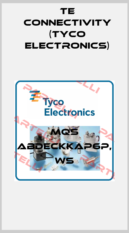 MQS ABDECKKAP6P, WS TE Connectivity (Tyco Electronics)
