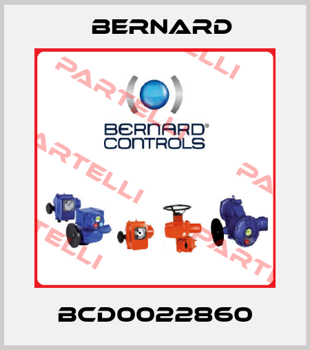 BCD0022860 Bernard