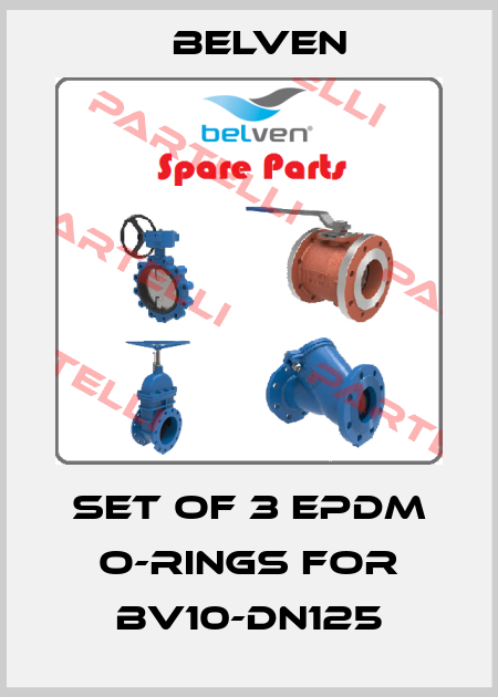 Set of 3 EPDM O-rings for BV10-DN125 Belven