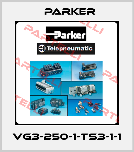 VG3-250-1-TS3-1-1 Parker