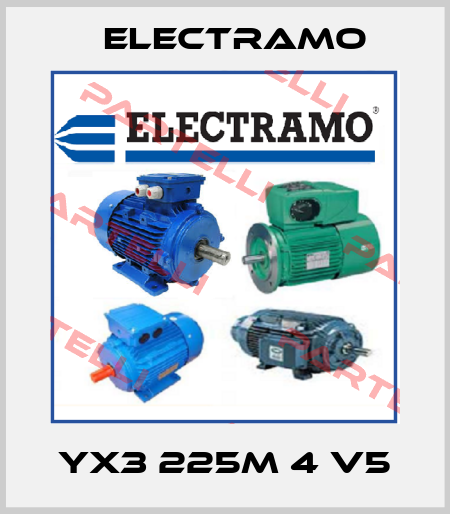 YX3 225M 4 V5 Electramo